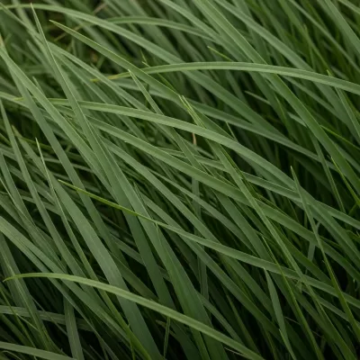 Imagen PNG para descargar